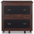 Pemberly Row Modern Wood 2-Drawer File Cabinet in Vintage Walnut