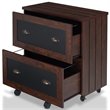 Pemberly Row Modern Wood 2-Drawer File Cabinet in Vintage Walnut