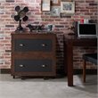 Pemberly Row Modern Wood 2-Drawer File Cabinet in Vintage Walnut