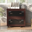Pemberly Row Modern Wood 2-Drawer File Cabinet in Vintage Walnut