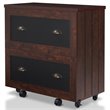 Pemberly Row Modern Wood 2-Drawer File Cabinet in Vintage Walnut