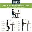 Pemberly Row Contemporary 60W Height Adjustable Standing Desk