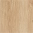 Pemberly Row Light Brown Wood and Gold Metal 2-Drawer End Table