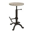 Pemberly Row Adjustable Stool in Natural Driftwood/Aged Iron
