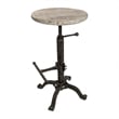 Pemberly Row Adjustable Stool in Natural Driftwood/Aged Iron