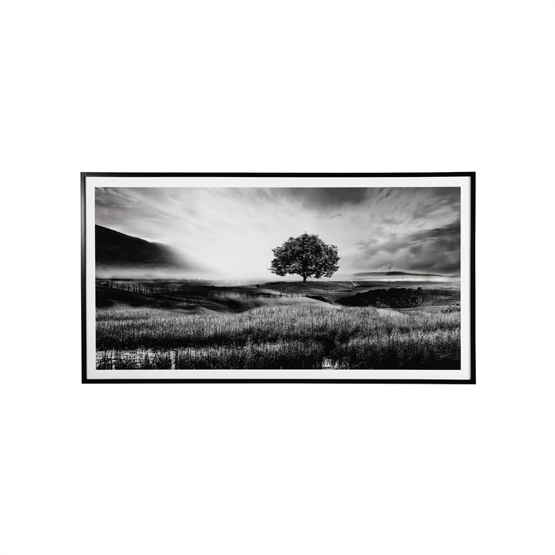 Pemberly Row Modern Acrylic Plastic Wall Art in Black and White