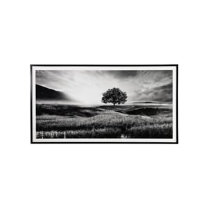 Pemberly Row Modern Acrylic Plastic Wall Art in Black and White