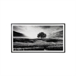 Pemberly Row Modern Acrylic Plastic Wall Art in Black and White