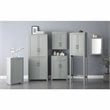 Pemberly Row Modern MDF Wood Mirrored Wall Cabinet in Gray/Clear
