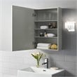 Pemberly Row Modern MDF Wood Mirrored Wall Cabinet in Gray/Clear