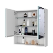 Pemberly Row Engineered Wood Medicine Cabinet with Mirror in White