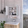 Pemberly Row Engineered Wood Medicine Cabinet with Mirror in White