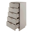 Pemberly Row Tall & Narrow Engineered Wood Dresser in Light Gray