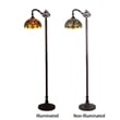 Pemberly Row Dragonfly 1-Light Metal Floor Lamp in Dark Bronze/Red
