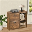 Pemberly Row 2-Drawer Modern Wood File Cabinet in Brown Rustic Oak