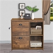 Pemberly Row 2-Drawer Modern Wood File Cabinet in Brown Rustic Oak