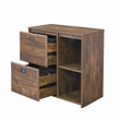 Pemberly Row 2-Drawer Modern Wood File Cabinet in Brown Rustic Oak