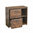 Pemberly Row 2-Drawer Modern Wood File Cabinet in Brown Rustic Oak