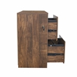 Pemberly Row 2-Drawer Modern Wood File Cabinet in Brown Rustic Oak