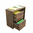 Pemberly Row 2-Drawer Modern Wood File Cabinet in Brown Rustic Oak