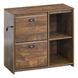 Pemberly Row 2-Drawer Modern Wood File Cabinet in Brown Rustic Oak