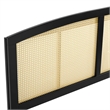 Pemberly Row Modern Rattan and Rubberwood Full Headboard in Black