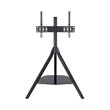Pemberly Row Wood Glass Steel TV Floor Stand for 32