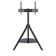 Pemberly Row Wood Glass Steel TV Floor Stand for 32