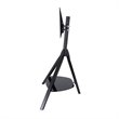 Pemberly Row Wood Glass Steel TV Floor Stand for 32