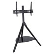 Pemberly Row Wood Glass Steel TV Floor Stand for 32