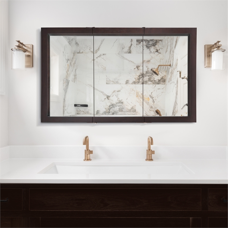 Pemberly Row 48-Inch Assembled Wood Framed Medicine Cabinet Mirror in Espresso