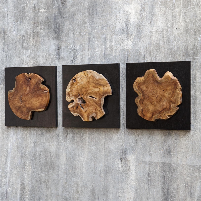 Pemberly Row Teak Wood Wall Decor in Black/Woodtone (Set of 3)