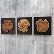 Pemberly Row Teak Wood Wall Decor in Black/Woodtone (Set of 3)