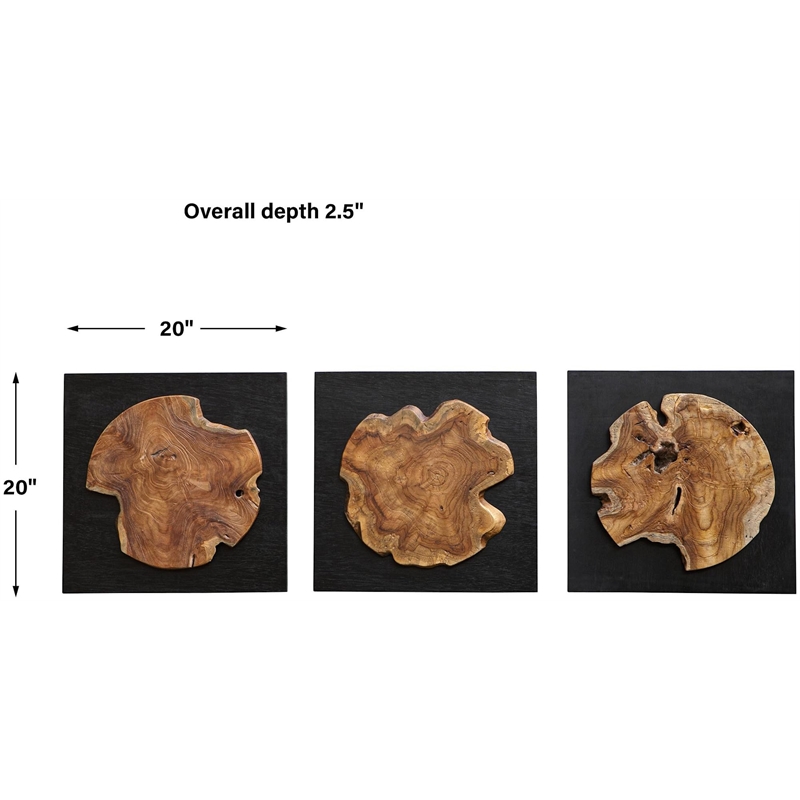 Pemberly Row Teak Wood Wall Decor in Black/Woodtone (Set of 3)