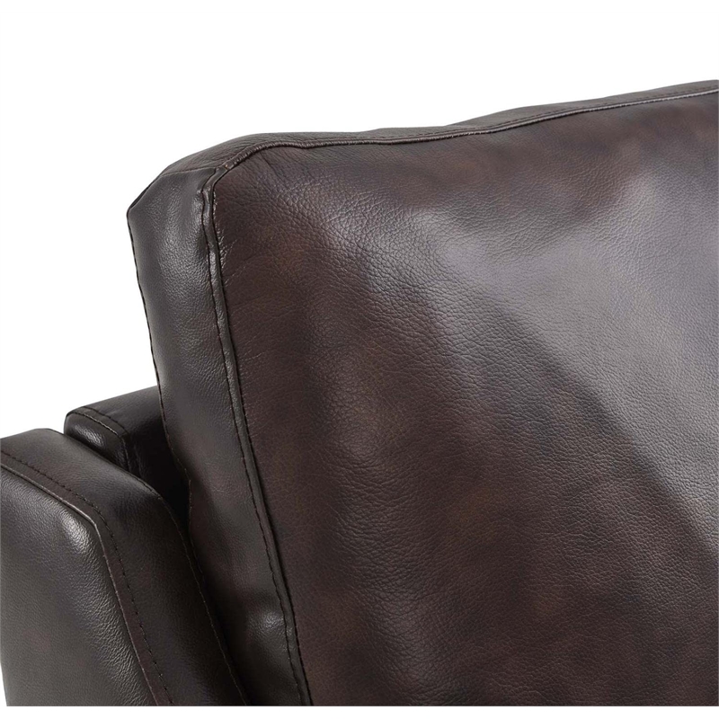 Pemberly Row Modern Style Leather and Metal Armchair in Brown