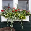 Pemberly Row Modern 4ft Traditional Plastic Window Box in White