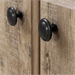 Pemberly Row 4-Door Storage Cabinet-Weathered Oak-Pemberly Row
