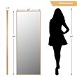 Pemberly Row Full Body Aluminum Frame Leaning Hanging Dressing Mirror - Gold