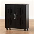 Pemberly Row Espresso Brown Finished Wood 2-Door Shoe Storage Cabinet