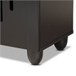 Pemberly Row Espresso Brown Finished Wood 2-Door Shoe Storage Cabinet