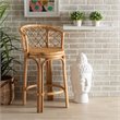 Pemberly Row Modern Bohemian Natural Brown Rattan Counter Stool