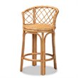 Pemberly Row Modern Bohemian Natural Brown Rattan Counter Stool