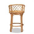 Pemberly Row Modern Bohemian Natural Brown Rattan Counter Stool
