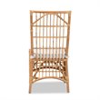 Pemberly Row Rose White Fabric Upholstered and Brown Rattan Dining Chair