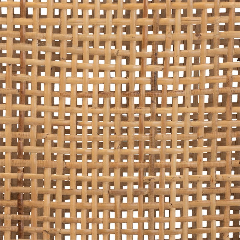 Pemberly Row Modern Brown Wood and Rattan 2-Piece Dining Chair Set