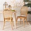 Pemberly Row Modern Bohemian Natural Brown Rattan 2-Piece Dining Chair Set