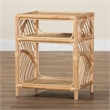 Pemberly Row Modern Bohemian Natural Brown Rattan Nightstand
