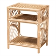 Pemberly Row Modern Bohemian Natural Brown Rattan Nightstand