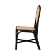 Pemberly Row Modern Two-Tone Black and Brown Rattan Dining Chair