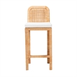 Pemberly Row Bohemian Natural Brown Rattan and Mahogany Wood Bar Stool